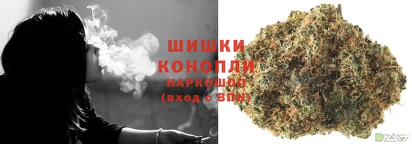 шишки Аркадак