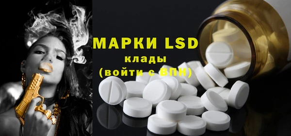 шишки Аркадак