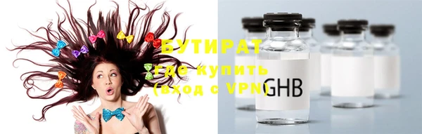 шишки Аркадак