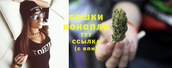 шишки Аркадак