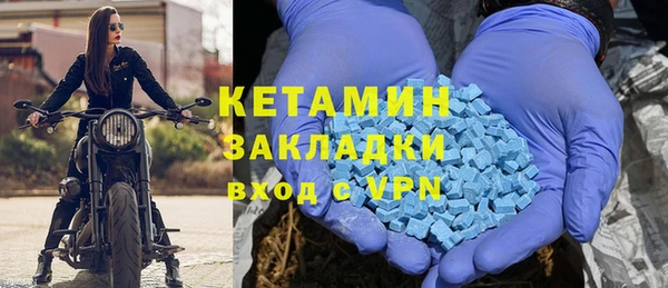 шишки Аркадак