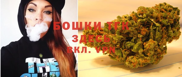 спайс Арсеньев