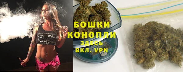 шишки Аркадак