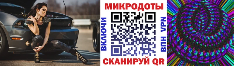 MEGA как войти  Салаир  Галлюциногенные грибы Psilocybine cubensis 
